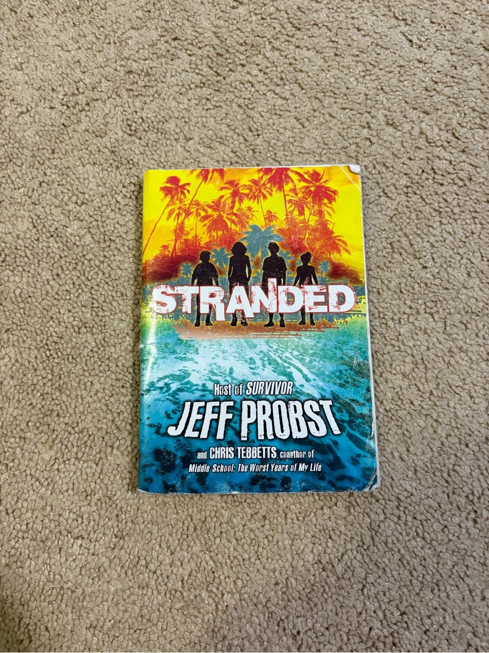 Scholastic Paperback with Yellow, Orange, Green & Blue Gradient Cover